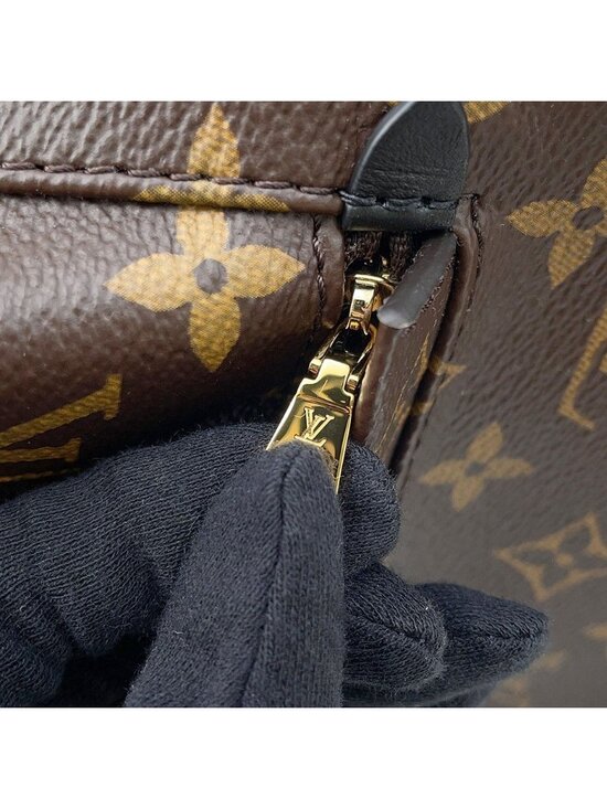 Louis Vuitton Monogram Palm Springs Backpack Mini Bag main image 6